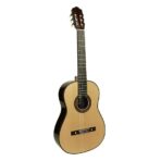guitare classique de concert esteve modèle torres