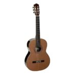 guitare classique salvador cortez suite c