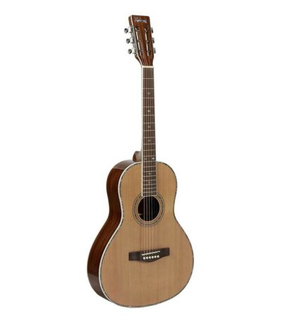 guitare blues richwood parlor rv-70-nt