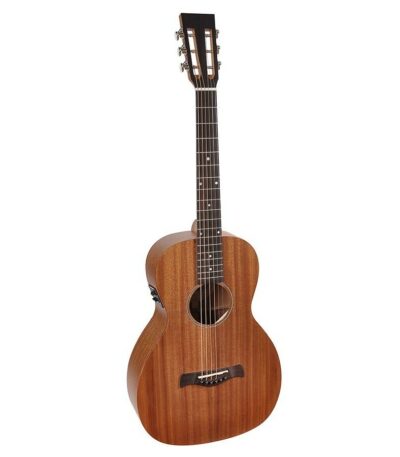 guitare parlor master series richwood p-50-E