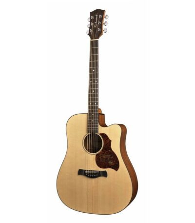guitare richwood d-20ce