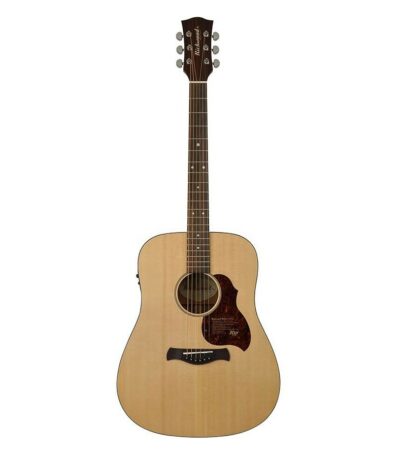guitare richwood electro master series d20E