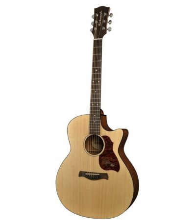guitare richwood grand auditorium g-20ce
