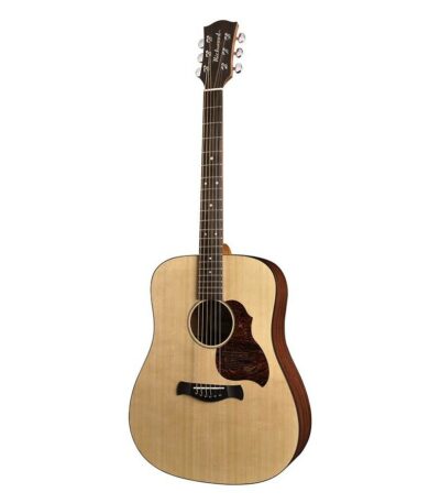 guitare richwood master series d-20