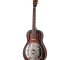 guitare resonator royall hb12sc sb