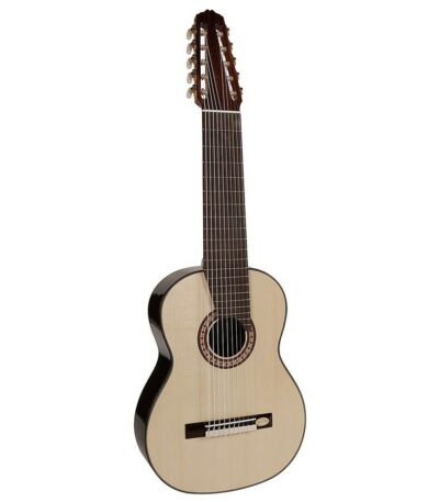 guitare 10 cordes salvador cortez cs6010