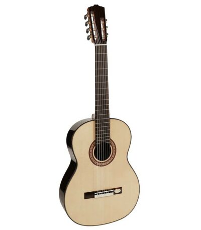 guitare 7 cordes salvador cortez cs607