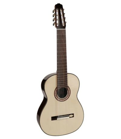 guitare 8 cordes salvador cortez cs608