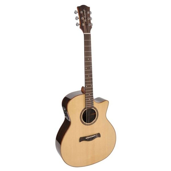 guitare richwood master series swg-150-ce