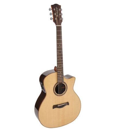 guitare richwood master series swg-150-wce