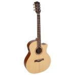 guitare richwood songwriter artisanale swg-110-ce