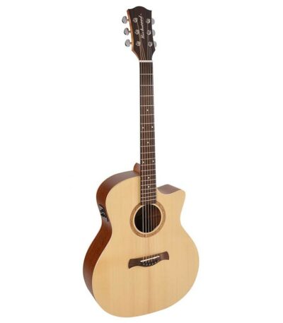 guitare richwood songwriter artisanale swg-110-ce