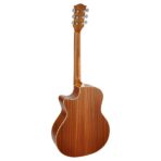 guitare richwood songwriter swg-110-ce