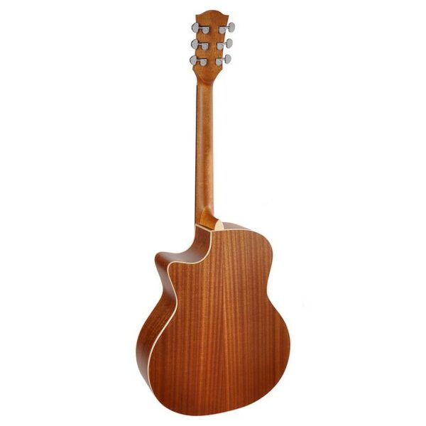 guitare richwood songwriter swg-110-ce