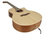 guitare richwood songwriter swg110ce