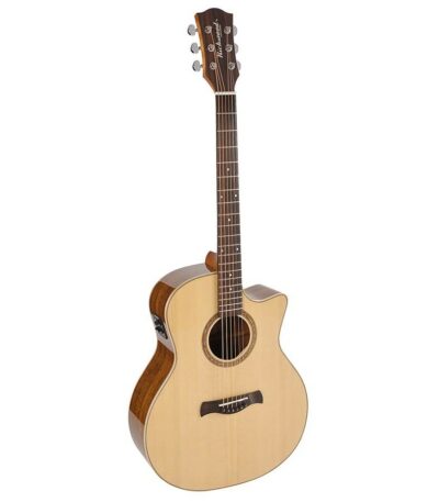 guitare richwood swg-130-ce