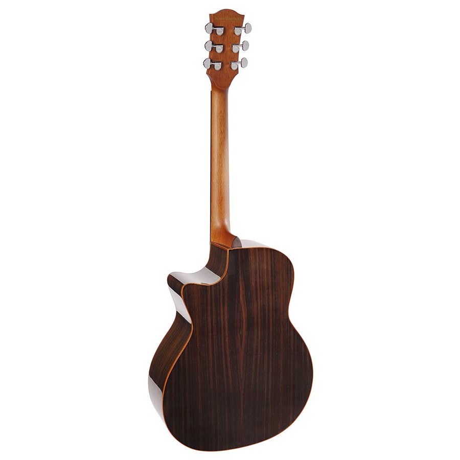 guitare richwood swg-150-ce