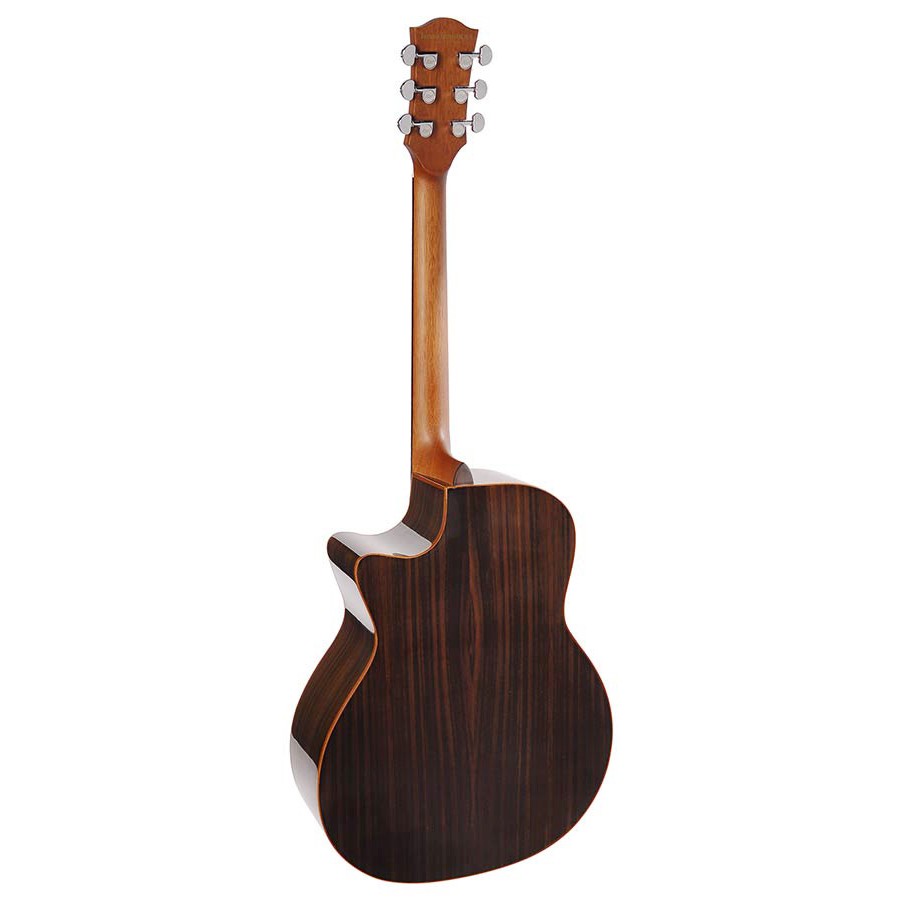 guitare richwood swg-150-wce