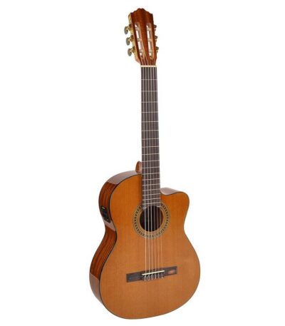 guitare classique salvador cortez cc-10-ce