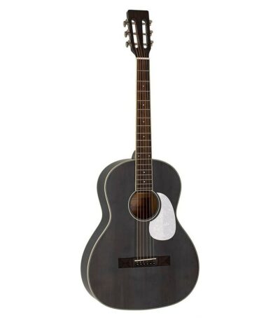 guitare parlor richwood hsp-35-mbk