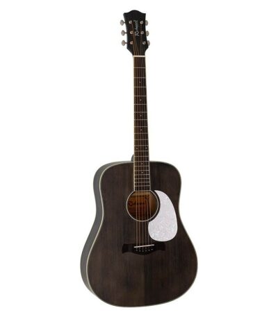 guitare richwood dreadnought hsd-35-mbk