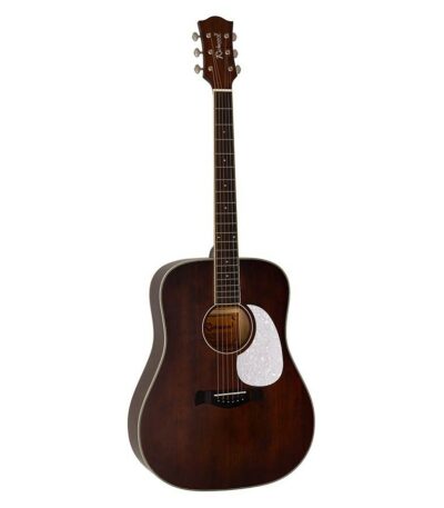 guitare richwood dreadnought hsd-35-mbr