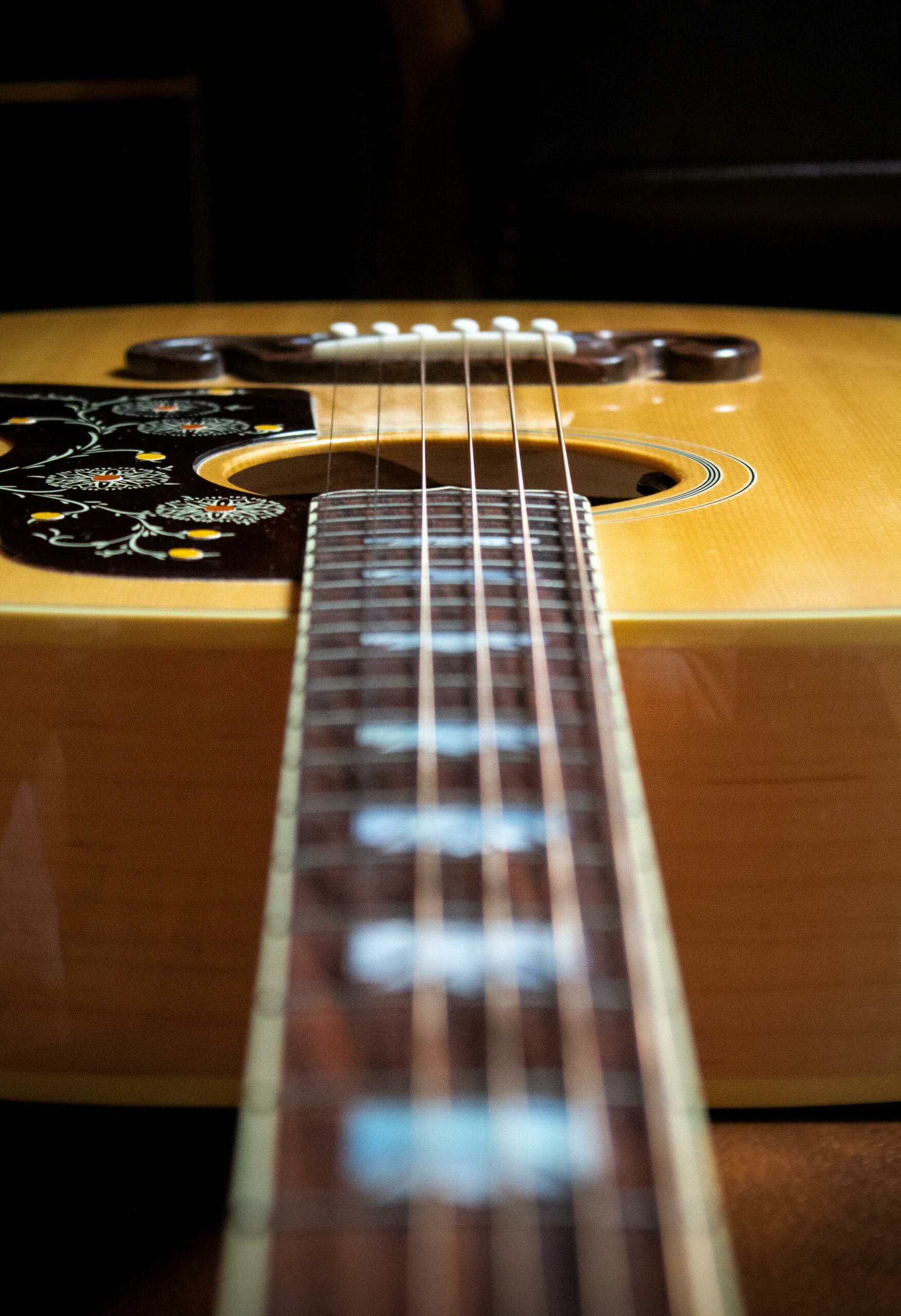 Comment bien choisir sa première guitare folk ?