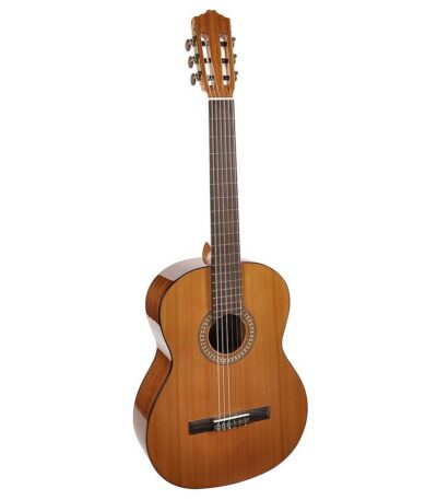 guitare classique salvador cortez cc-22