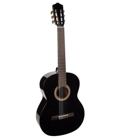 guitare classique salvador cortez cc-22bk