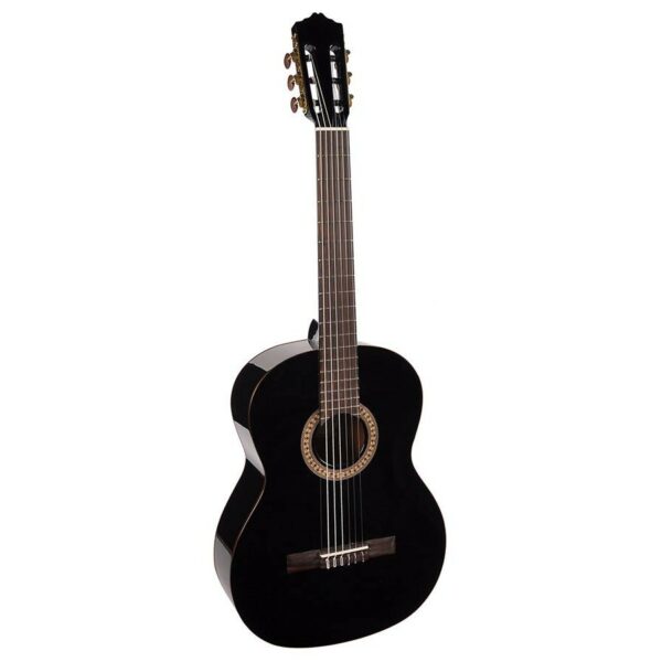 guitare classique salvador cortez cc-22bk