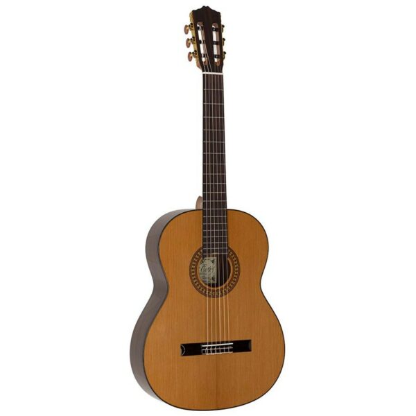 guitare classique salvador cortez cc50