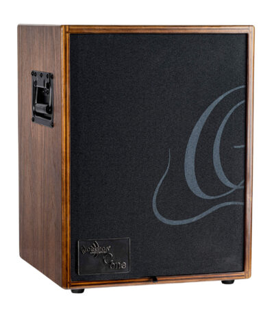 ampli combo guitare acoustique ortega cone-wnd