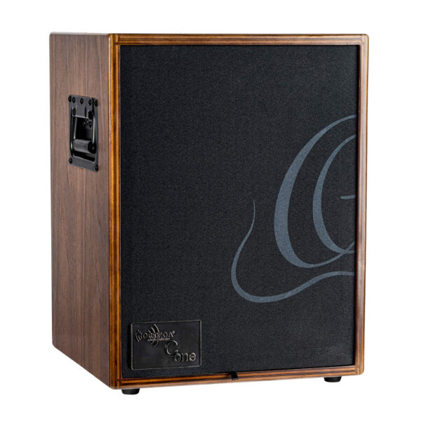 ampli combo guitare acoustique ortega cone-wnd