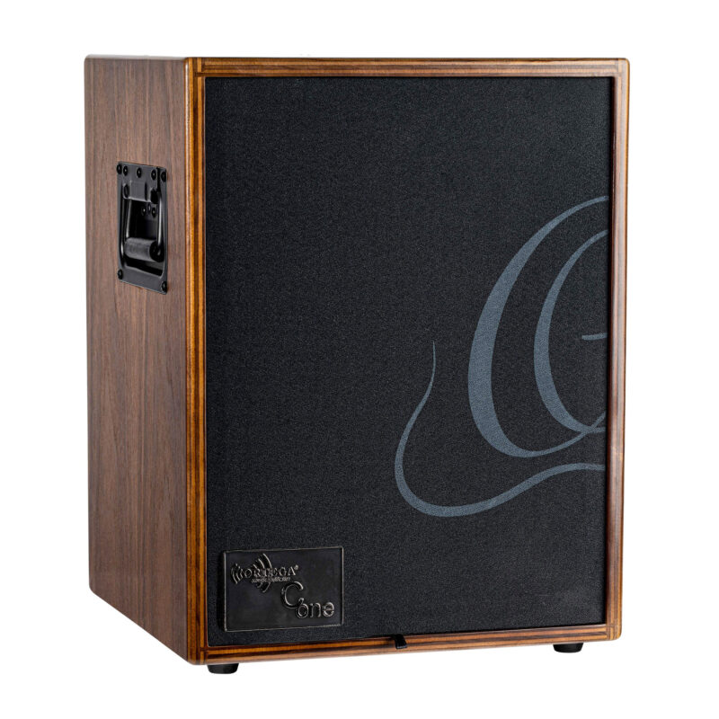 ampli combo guitare acoustique ortega cone-wnd