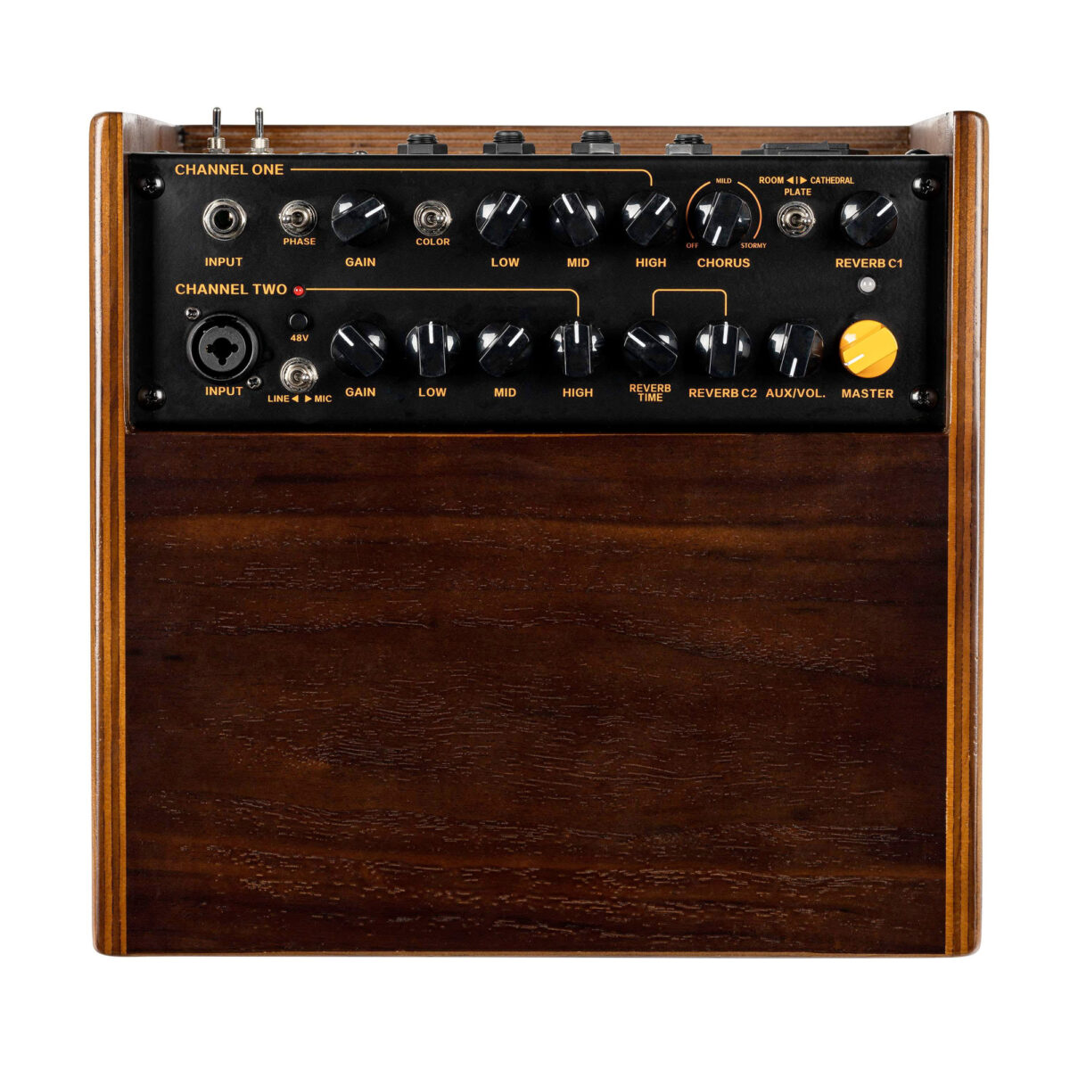 ampli guitare acoustique ortega conewnd