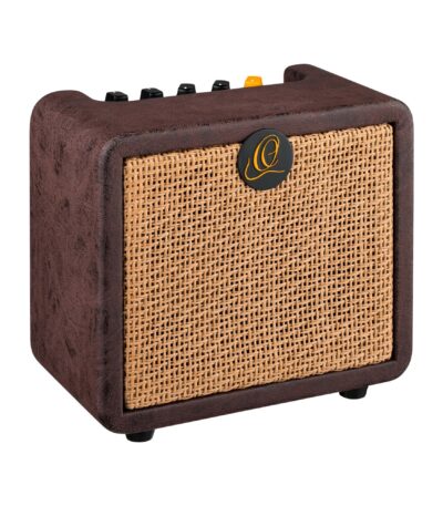 ampli guitare acoustique ortega ptwo