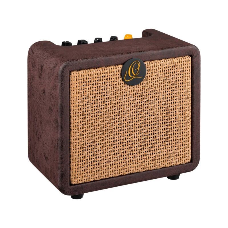 ampli guitare acoustique ortega ptwo