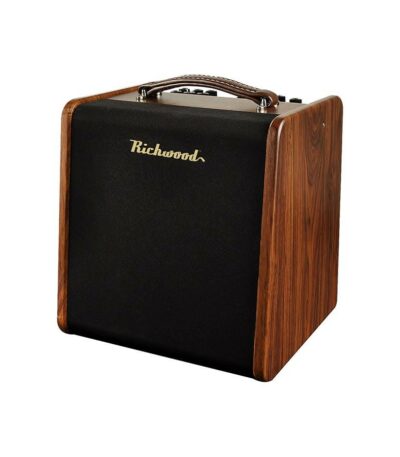 ampli guitare acoustique richwood rpf-65