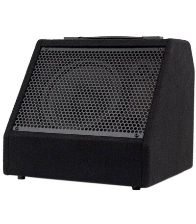 amplificateur batterie haymman ddm-30