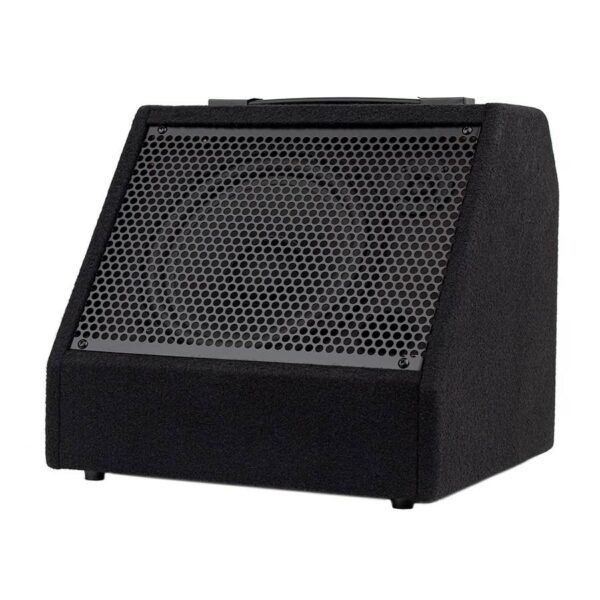 amplificateur batterie haymman ddm-30
