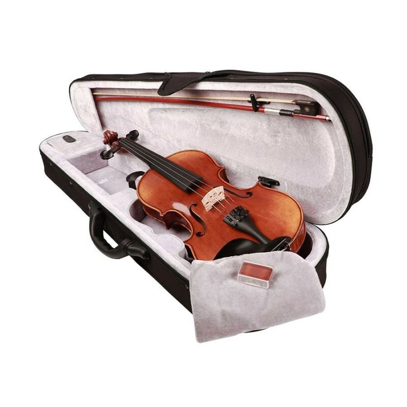 violon enfant rudolph rv-1012