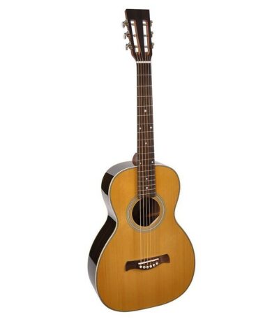 guitare parlor richwood p-65-va