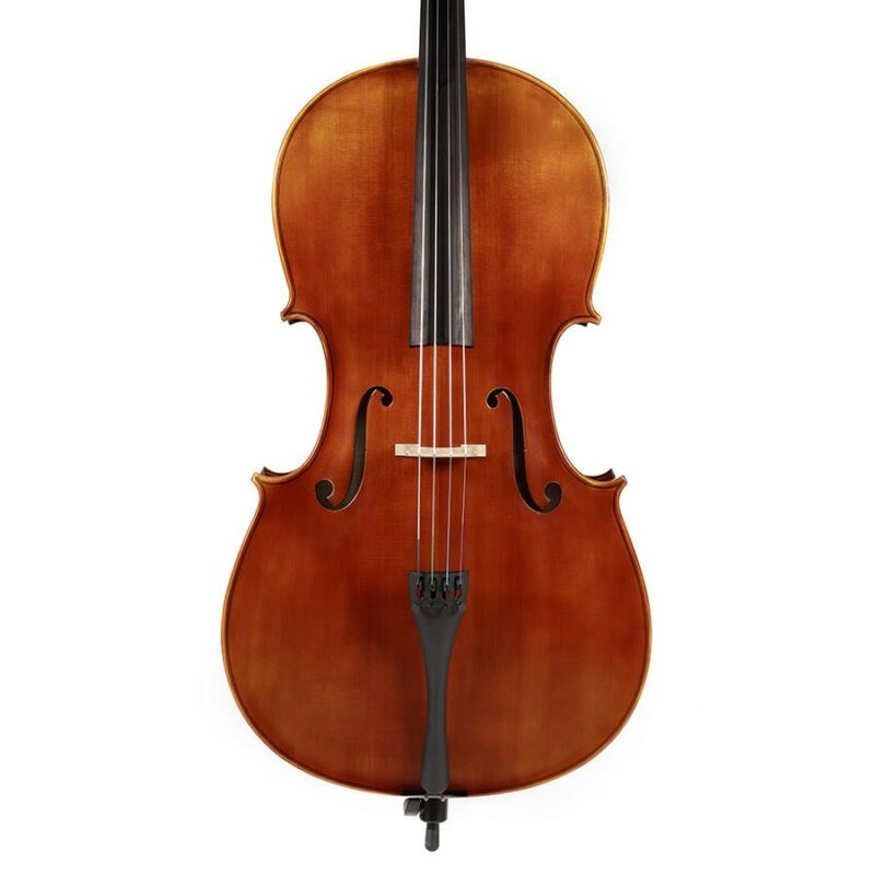 violoncelle rudolph demi RC-1012