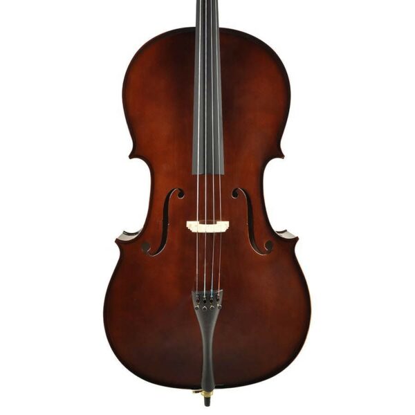 violoncelle un dizième leonardo lc-2010