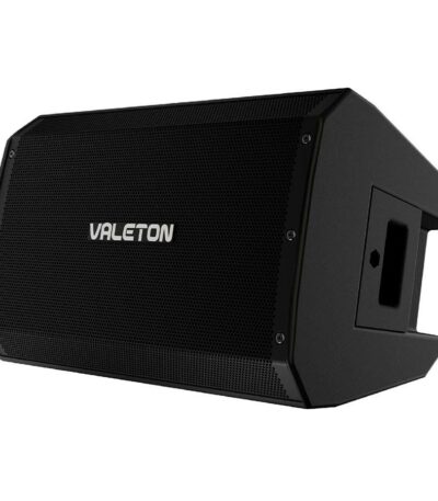bafle valeton pour guitare ou sono vfr-110