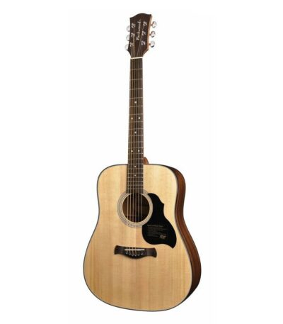 guitare acoustique richwood D-40