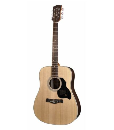 guitare acoustique richwood D-60
