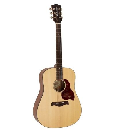 guitare acoustique richwood all solid master series D-22