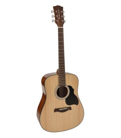guitare acoustique richwood all solid master series D-240