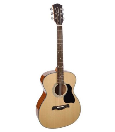 guitare auditorium richwood a-40